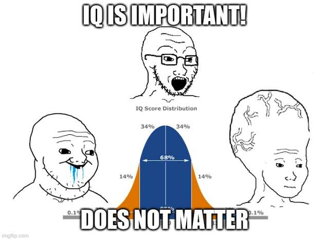 My attempt at an IQ meme, memes are an example of a socail learning outcome