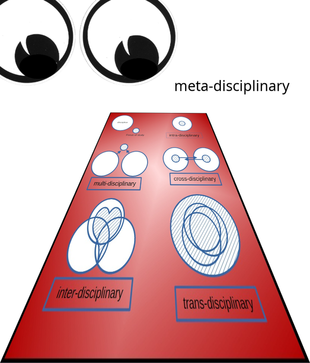 the meta-disciplinary viewpoint