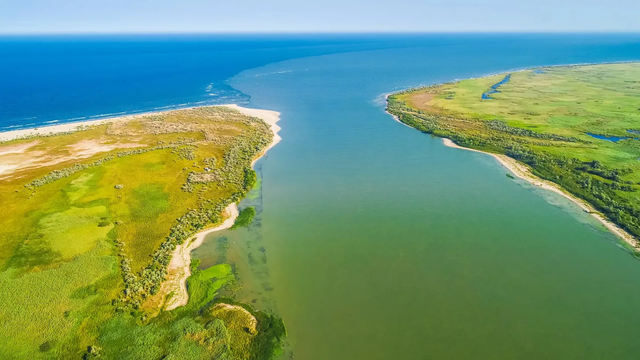 The Danube River merging with the Black Sea