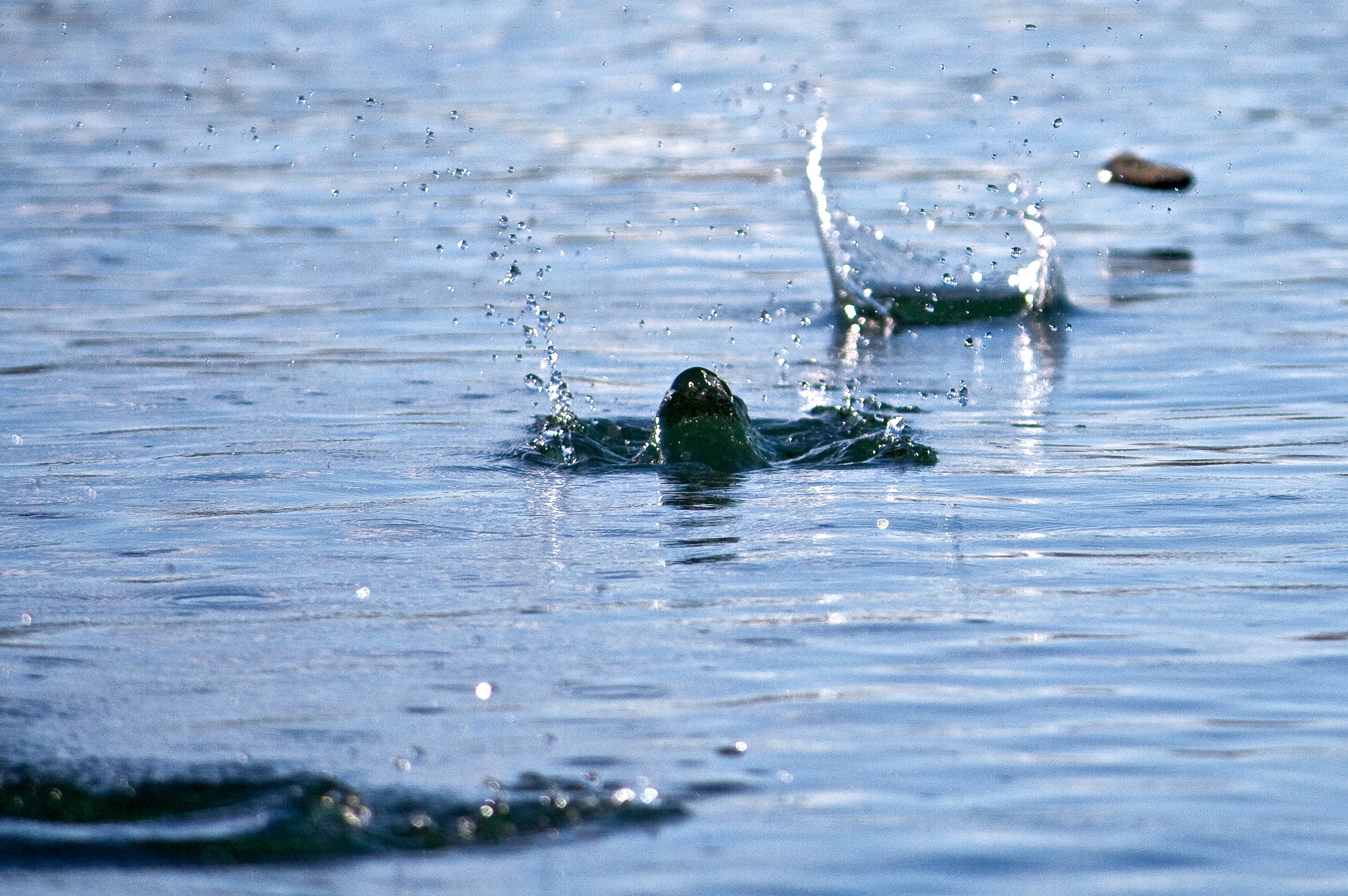 A stone skimming across the water --Killy Ridols - Patagonia