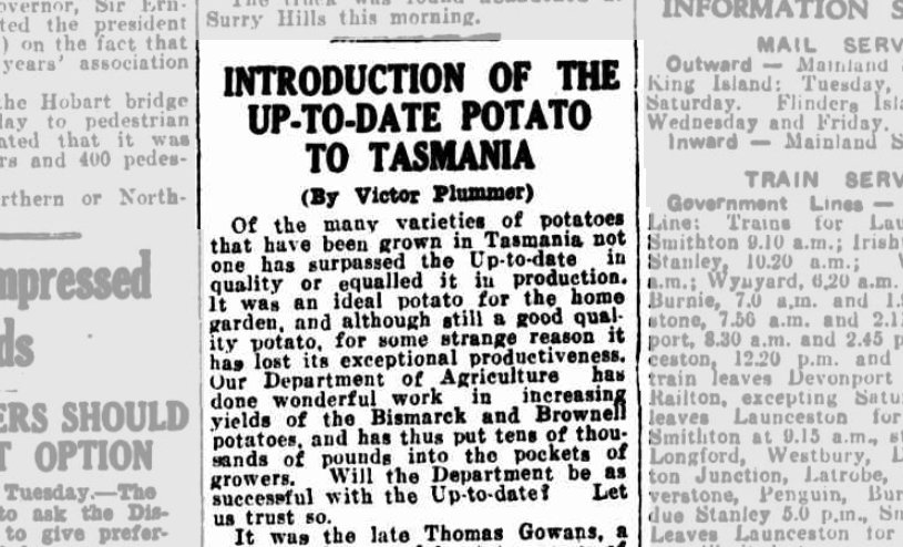 Introduction of the up-to-date potato to Tasmania